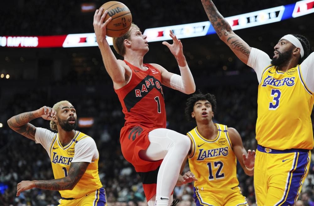 他合理运用 他合理运用